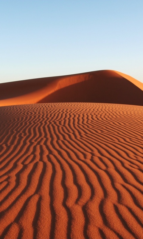 Красные барханы пустыни обои