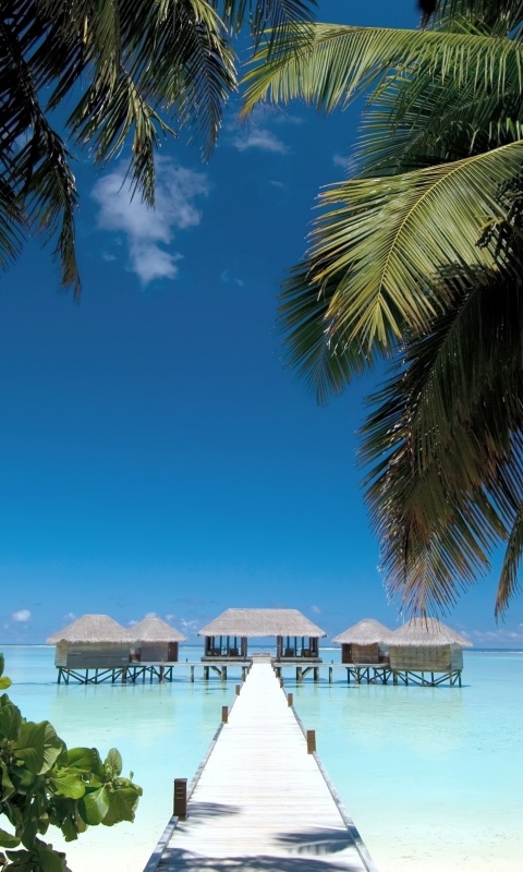 Солнечные мальдивы обои