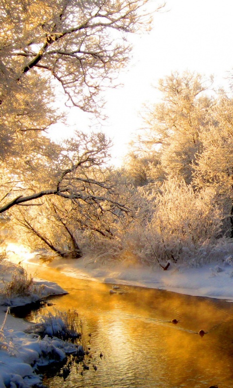 Зимняя река обои