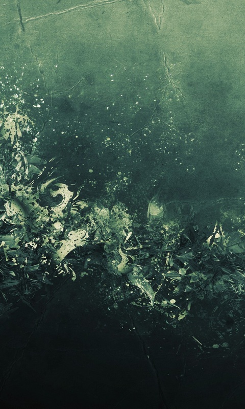 Красивые обои