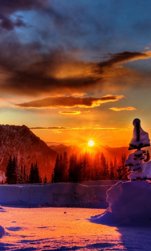 Зимнее солнце обои