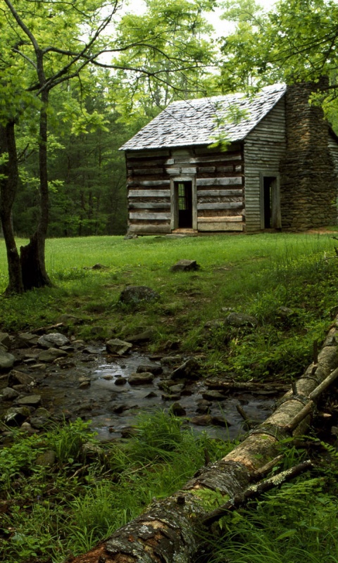 Домик в лесу обои