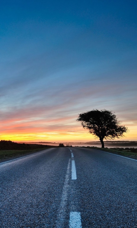 Дорога обои