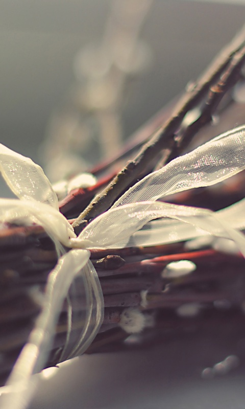 Букет вербы обои