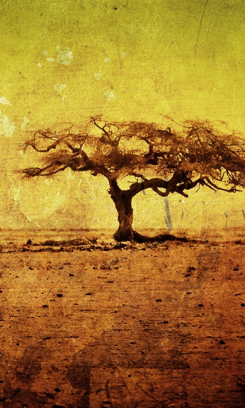 Гранжевое дерево в саванне обои