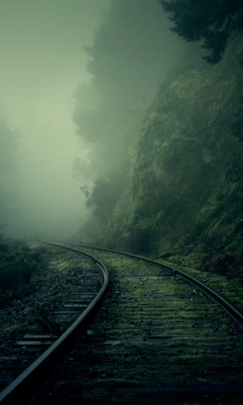 Рельсы уходя в туман обои