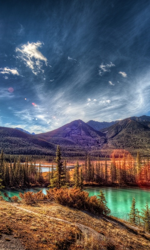 Болотистая местность обои