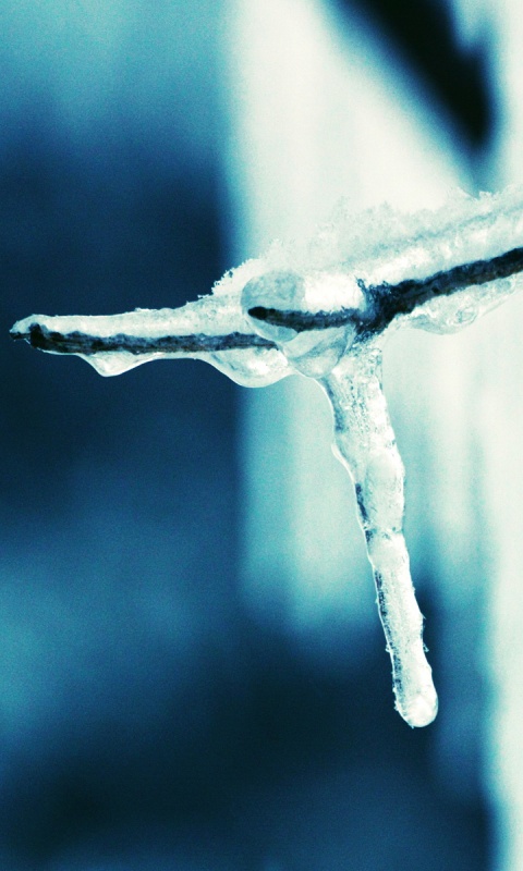 Сосуля обои