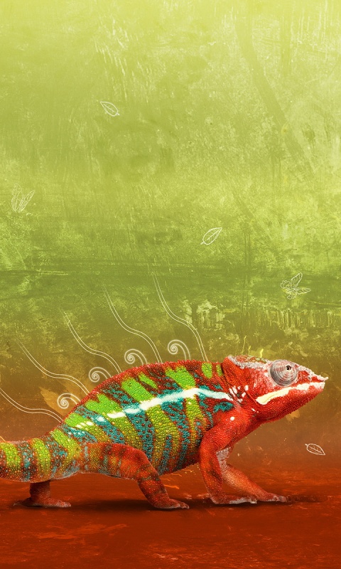 Хамелеон обои