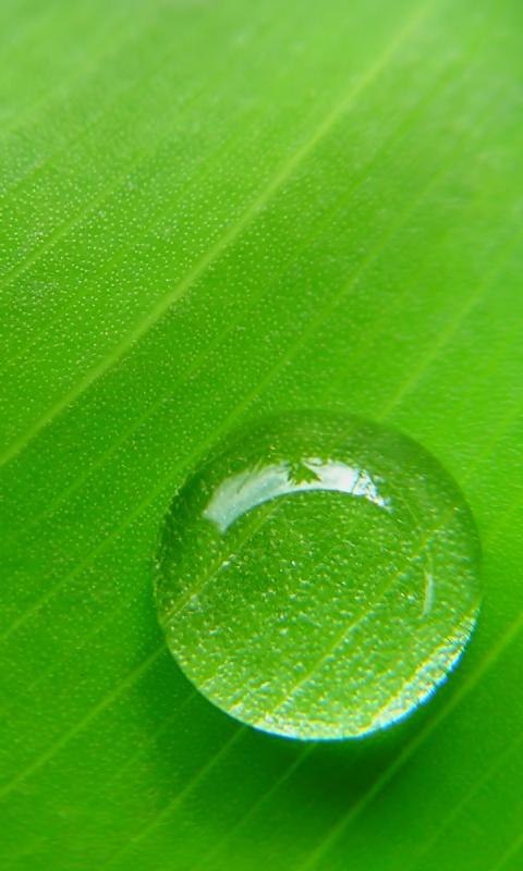 Одна капля обои