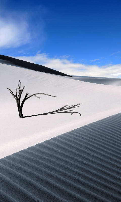 Дюны белого песка обои