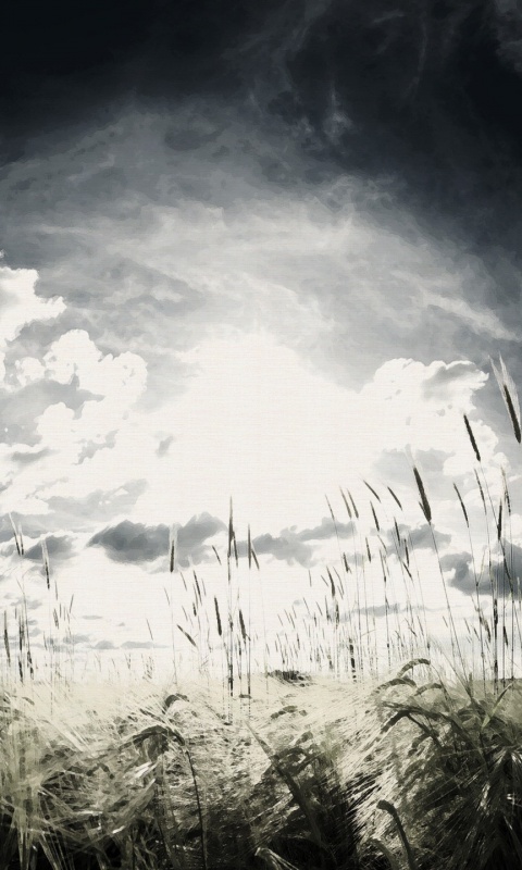 Сюрреалистичная трава обои