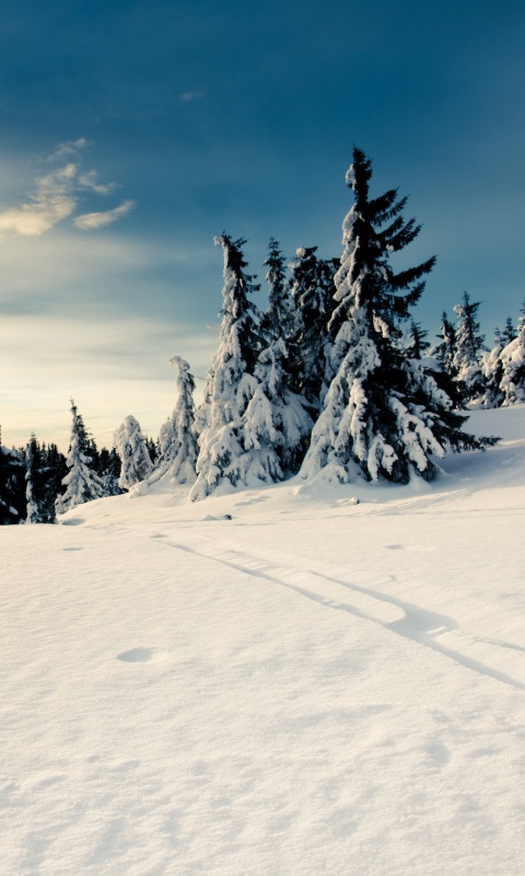 Зимние просторы обои