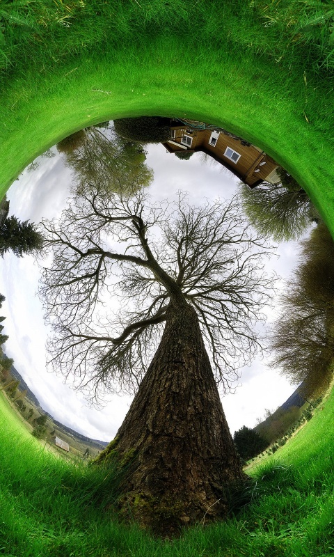 Другой взгляд на мир обои