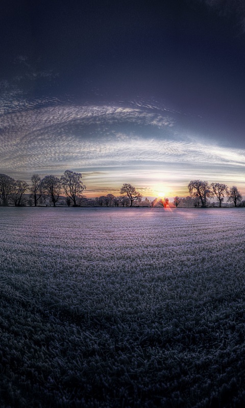 Поле широкоугольным объективом обои