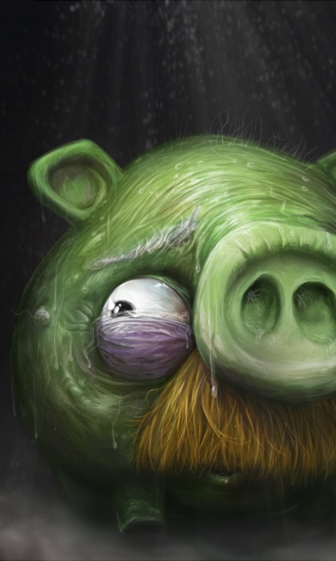 Свинья из Angry Birds обои
