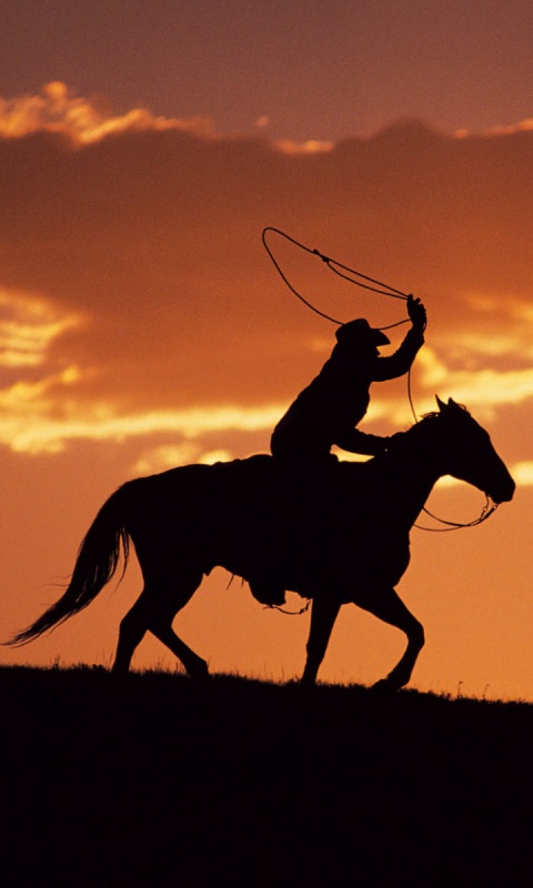 Силуэт ковбоя на закате обои