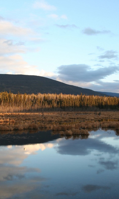 Осеннее озеро обои