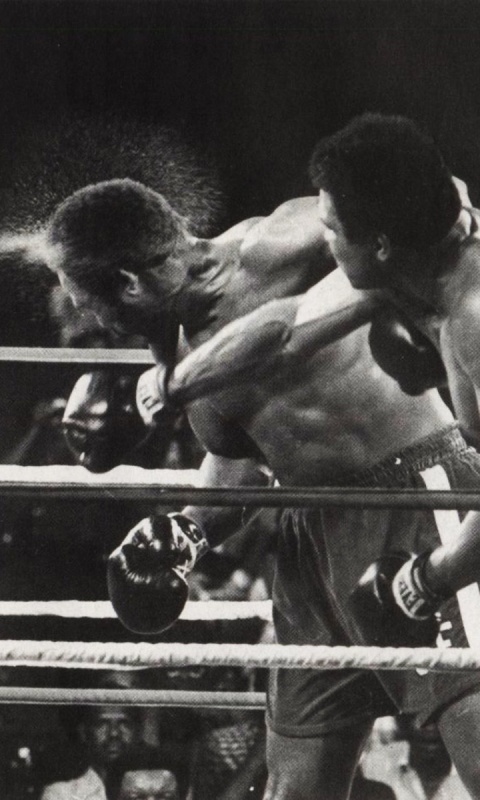 Чемпион по боксу Мохаммед Али обои