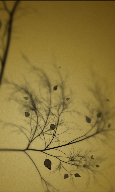 Это осень обои