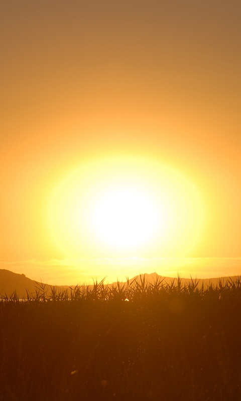 Сельский закат обои