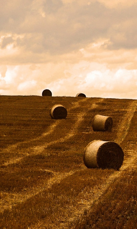 Уборка сена с поля обои