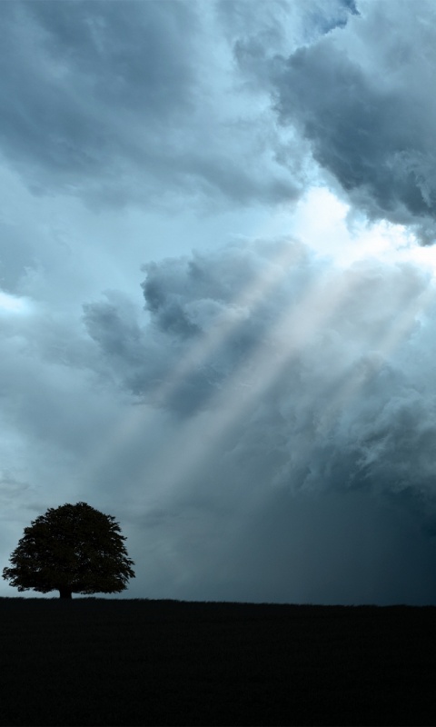 Избранный обои