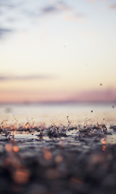 Дождь в макро обои