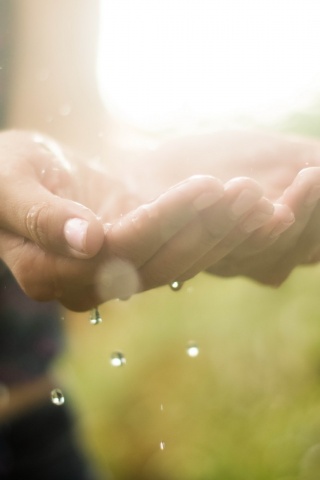 Дождь в ладонях обои