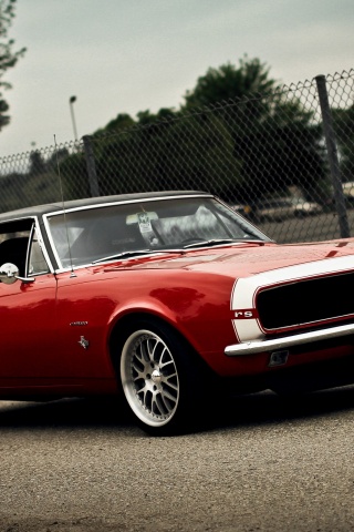 Красный монстор обои