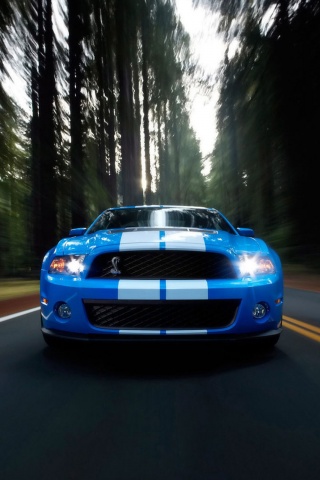 Форд Шелби обои