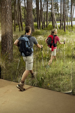 Реклама фотообоев обои