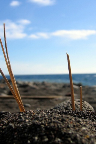 Солома на океанском берегу обои