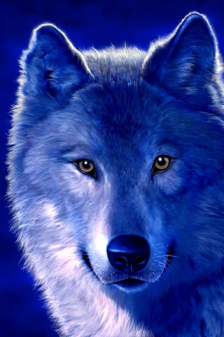 Рисунок волка обои