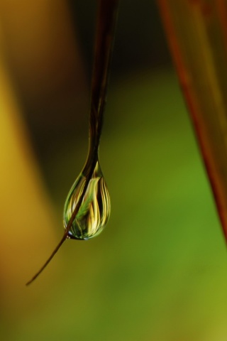 Стекающая капля обои