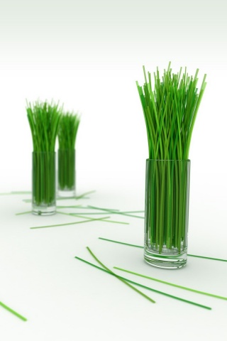 Трава в стакане обои