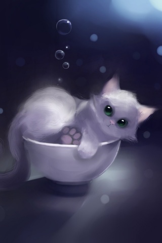 Котёнок в миске обои