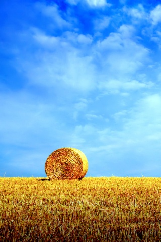 СОломеннынй рулон обои