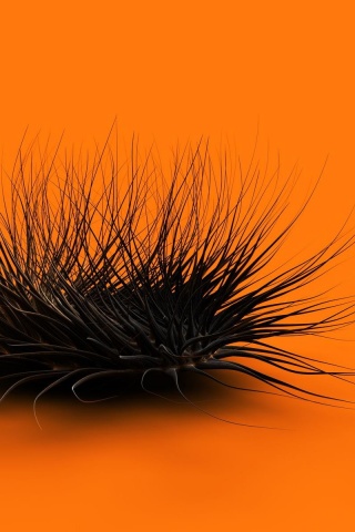 Волосатая мочалка обои