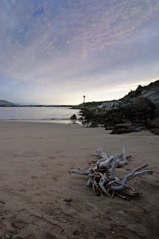 Коряга не берегу обои