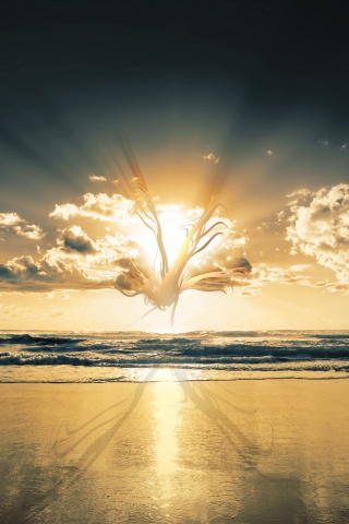 Абстрактные перья на фоне заката обои