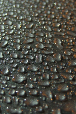 Вода собирается в капли обои