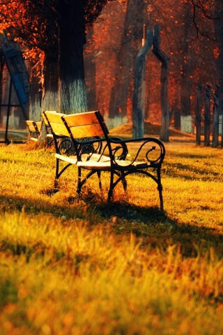 Скаймейка в осеннем парке обои