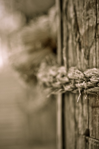 Веревка на деревянном столбе обои