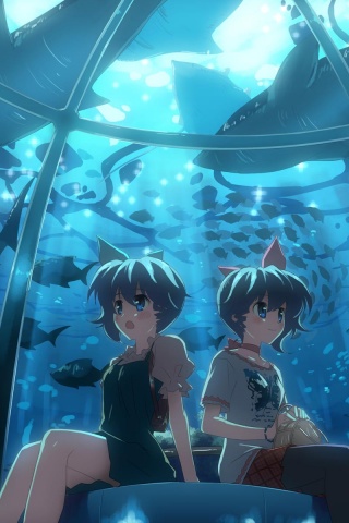 В океанариуме обои