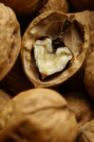 Расколотый орех обои