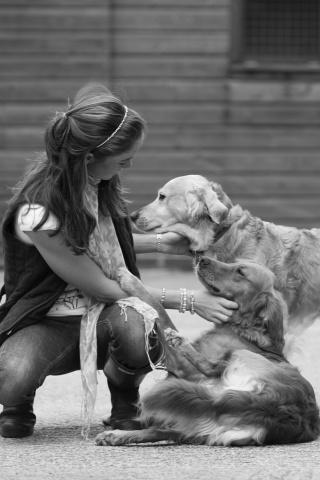 Девушка с собаками обои