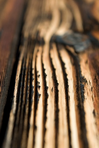 Рельефная доска обои