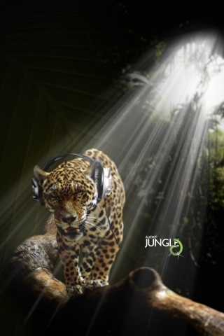 Ягуар в наушниках обои