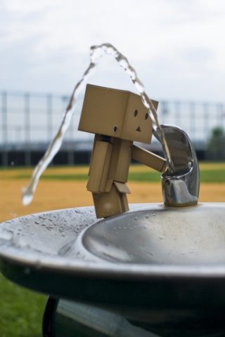 Дандо пьет в воду из фонтанчика обои